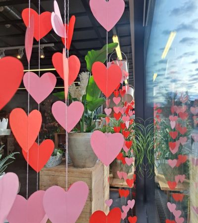 gaertnerei-waldispühl_aktuell_aktuelles_Glashaus_Events_Herbst_2024_1