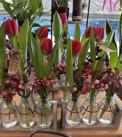 gaertnerei-waldispühl_aktuell_aktuelles_Glashaus_Events_Herbst_2024_1