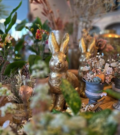 gaertnerei-waldispühl_aktuell_aktuelles_Glashaus_Events_Herbst_2024_1