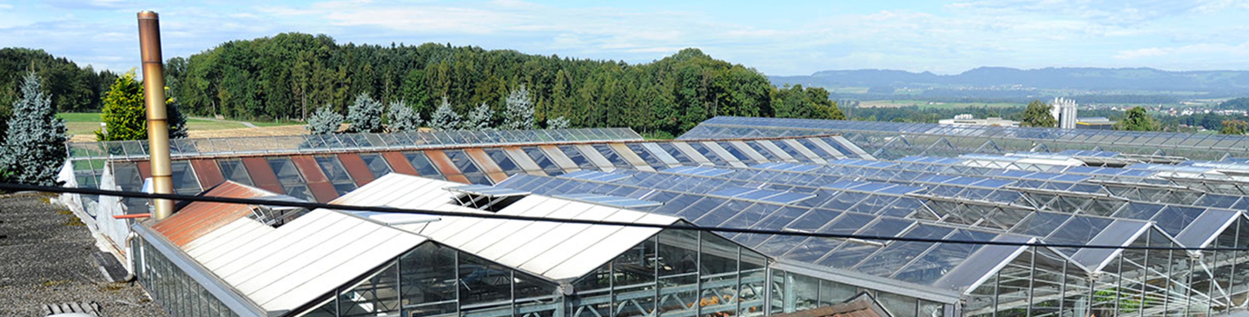gaertnerei-waldispühl_aktuell_header_01