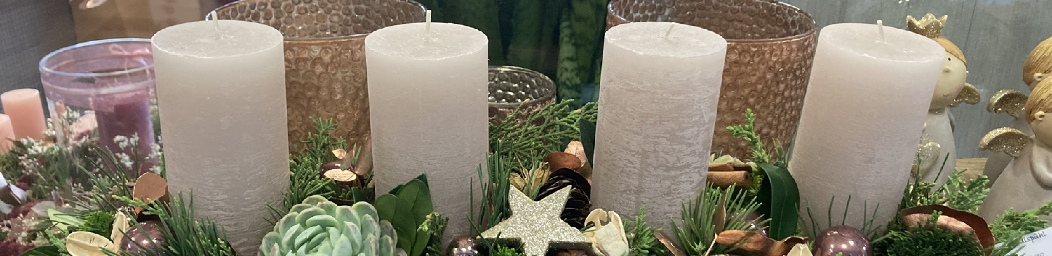 gaertnerei-waldispühl_aktuell_header_01