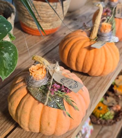 gaertnerei-waldispühl_aktuell_aktuelles_Glashaus_Events_Herbst_2024_1